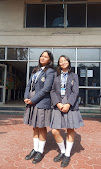 School Media