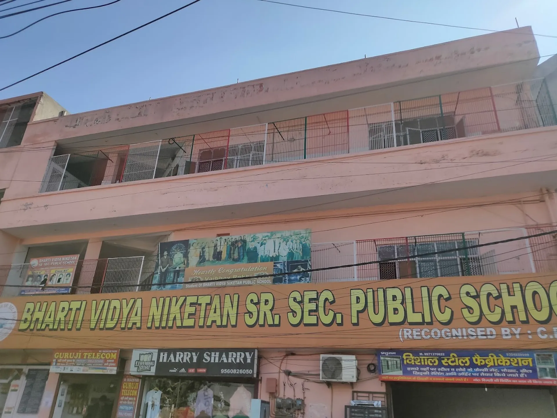 Bharti Vidya Niketan Public School