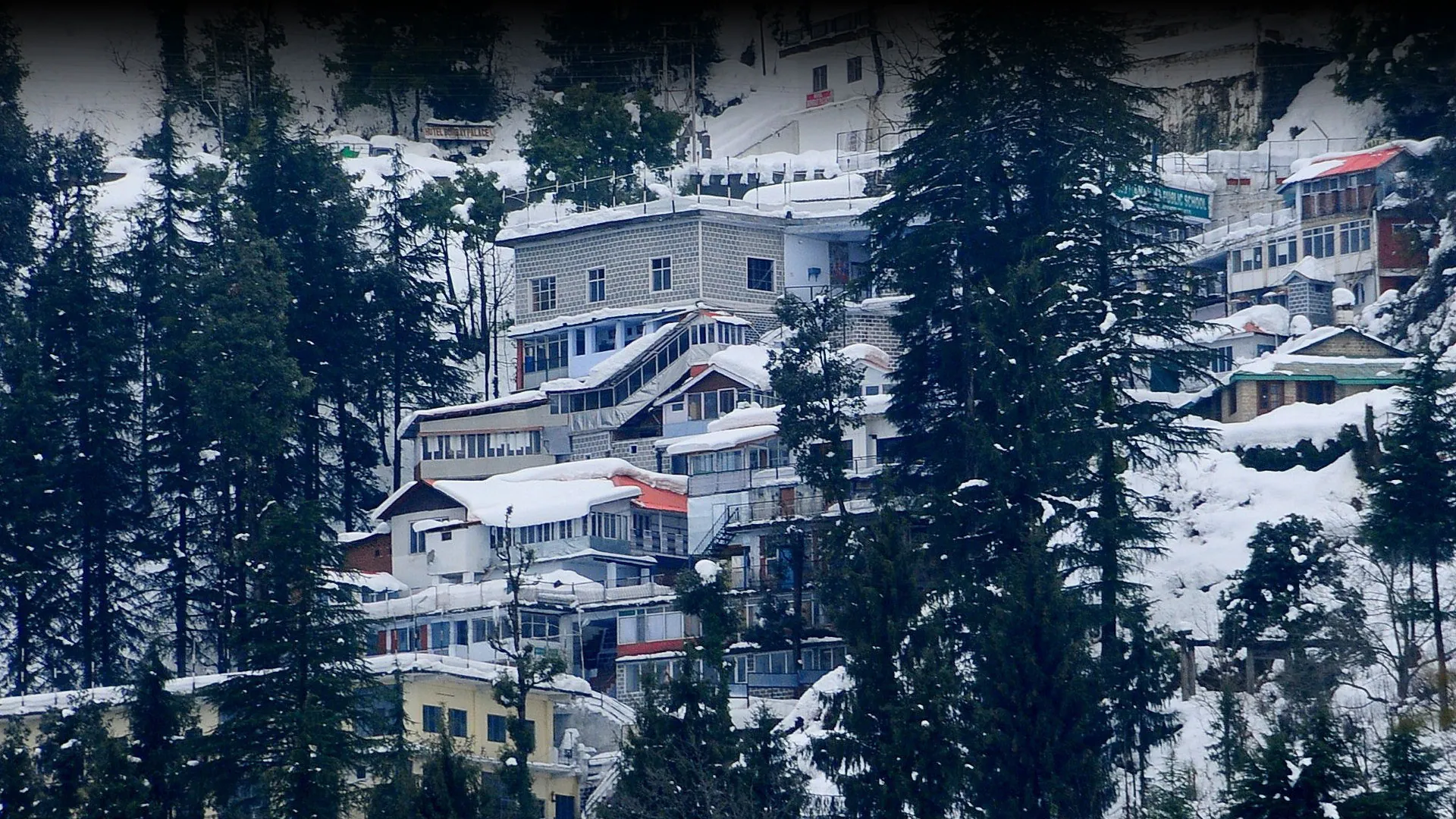 Guru Nanak Public School