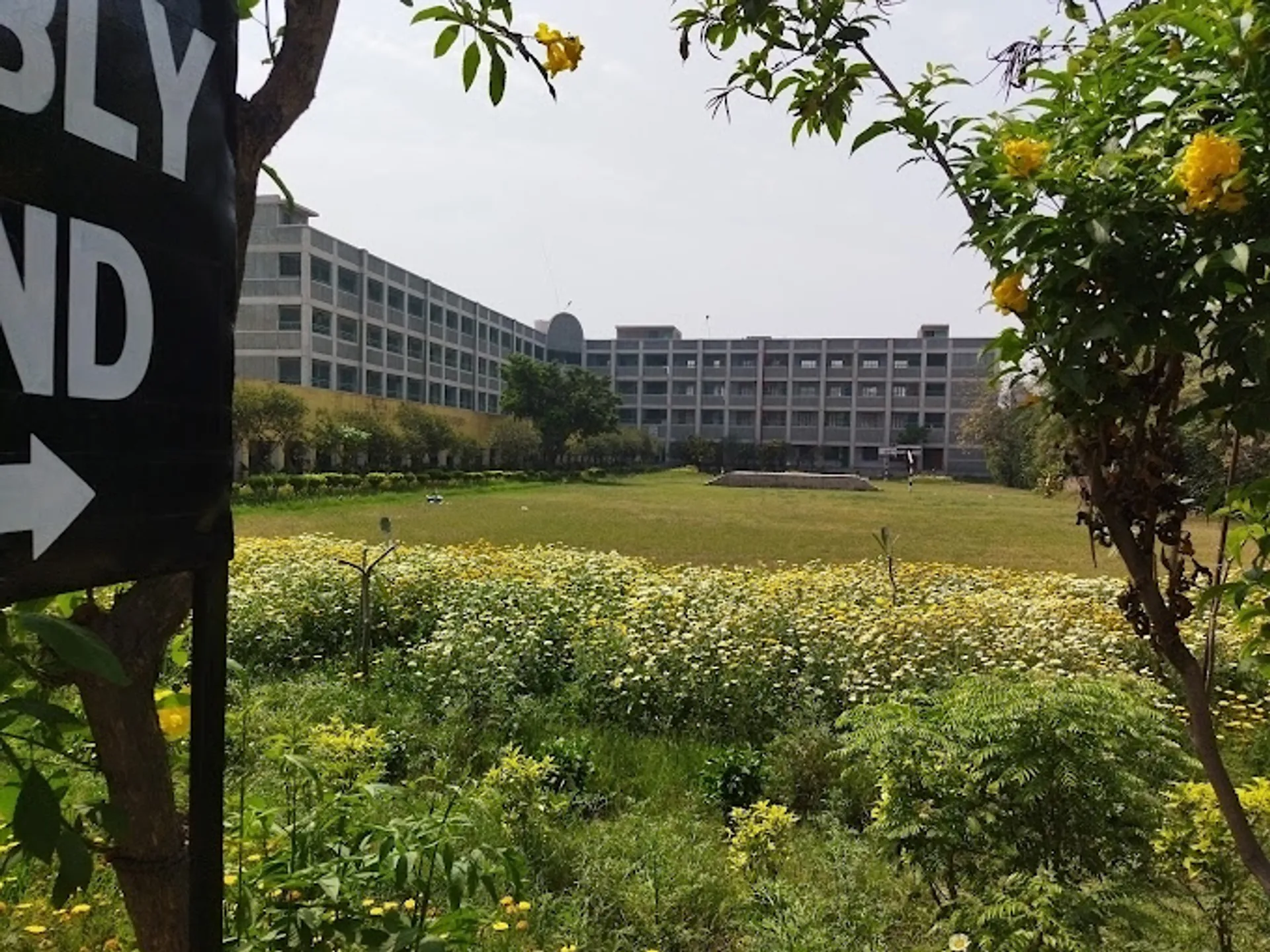 Raghubir Singh Modern School campus