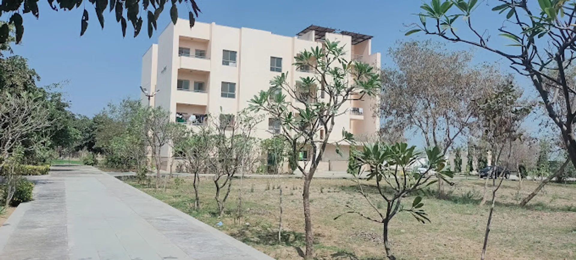RPS International School