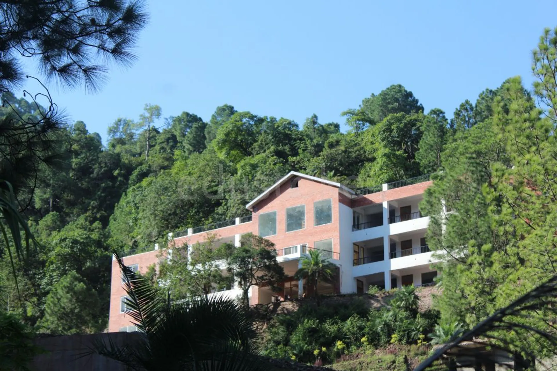 The Plenum School