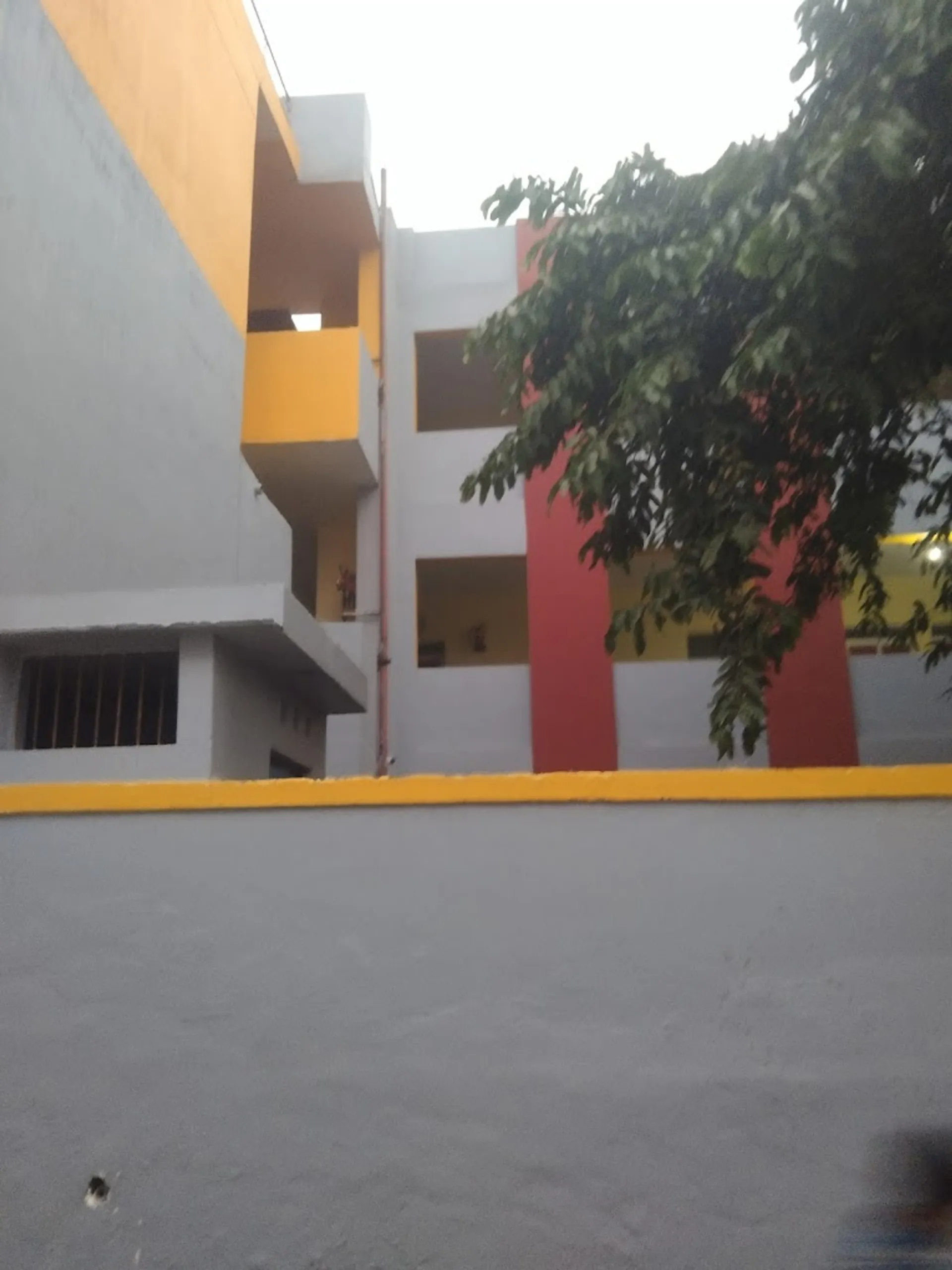 Vikas High School campus