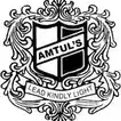 Amtul Public School