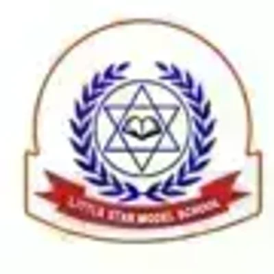Little Star Model School logo