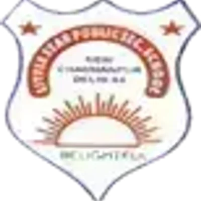 Little Star Public School logo