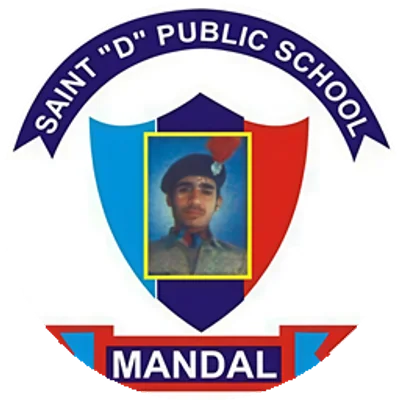 Saint D Public School